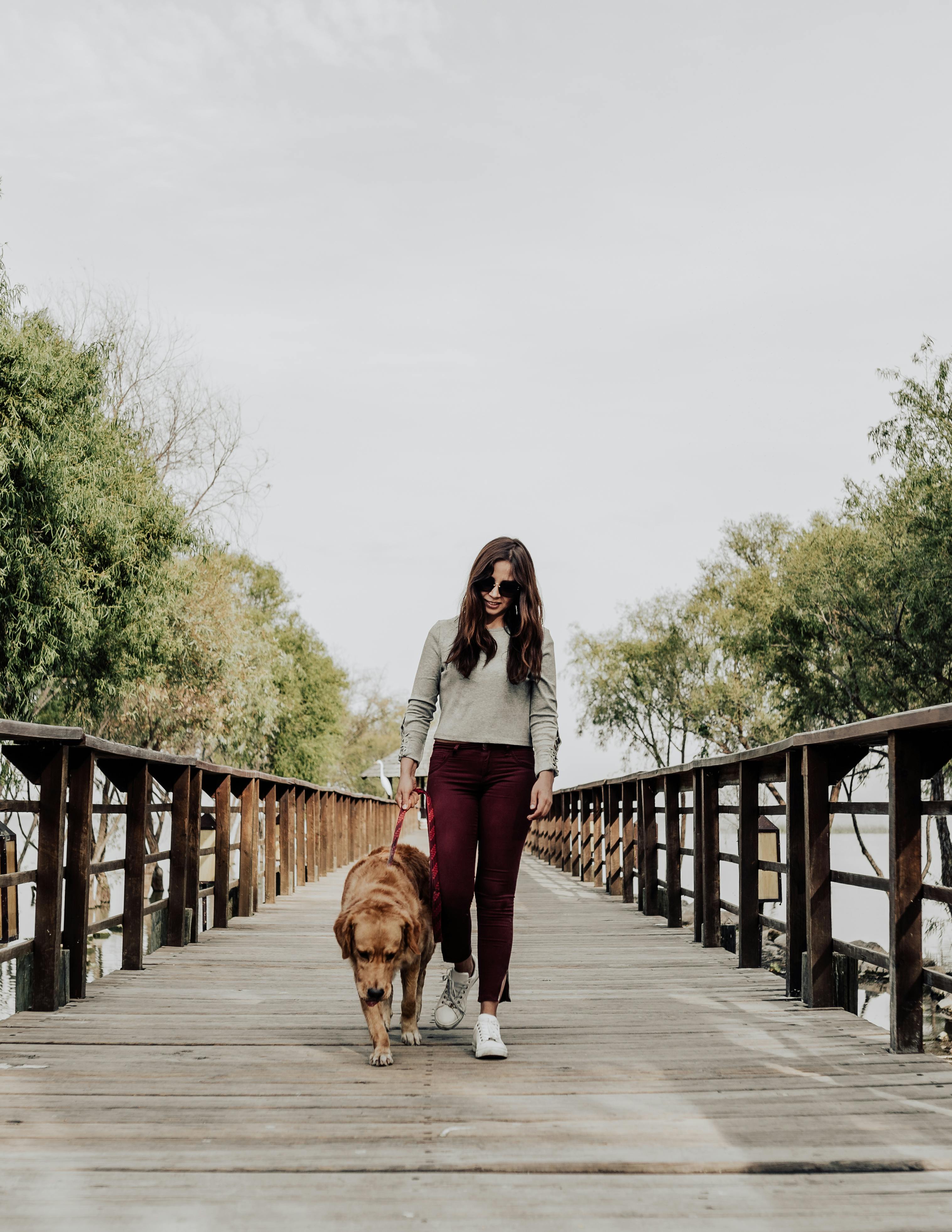 Woman walking her dog over a bridge